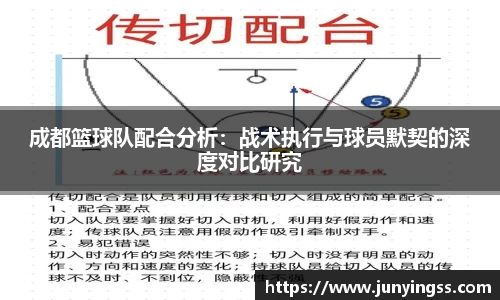 成都篮球队配合分析：战术执行与球员默契的深度对比研究